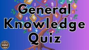 Best Online Quizzes For General Knowledge Practice